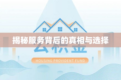 金塔揭秘服务背后的真相与选择