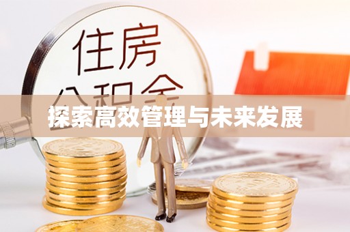 金塔探索高效管理与未来发展