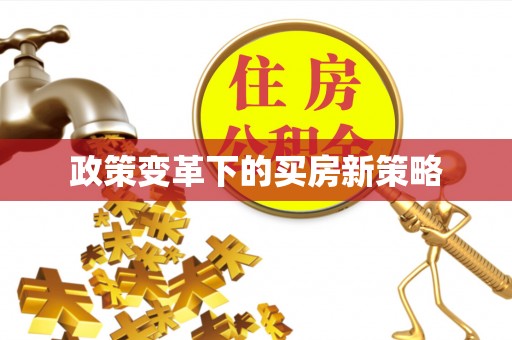 金塔政策变革下的买房新策略