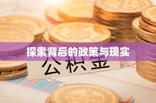 金塔探索背后的政策与现实