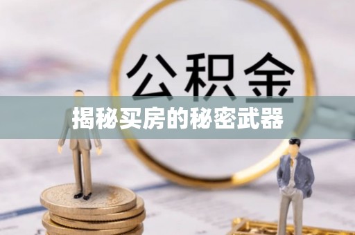金塔揭秘买房的秘密武器