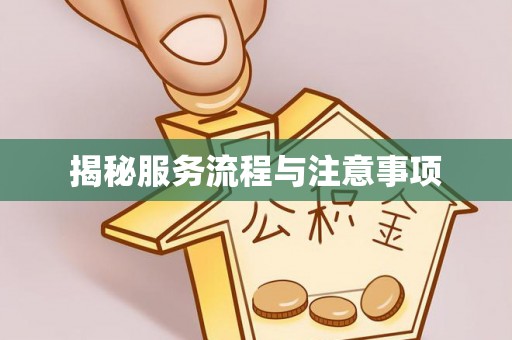 金塔揭秘服务流程与注意事项