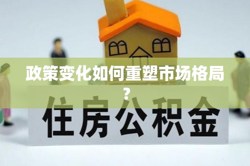 金塔政策变化如何重塑市场格局？