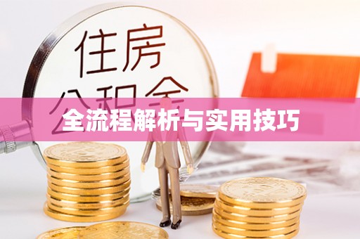 金塔全流程解析与实用技巧
