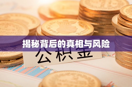金塔揭秘背后的真相与风险