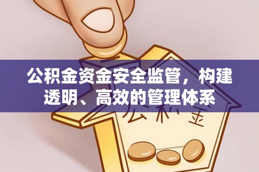 金塔公积金资金安全监管，构建透明、高效的管理体系