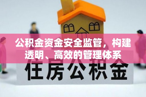 金塔公积金资金安全监管，构建透明、高效的管理体系