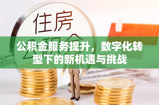 金塔公积金服务提升，数字化转型下的新机遇与挑战