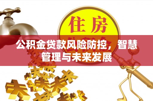 金塔公积金贷款风险防控，智慧管理与未来发展