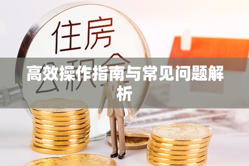 金塔高效操作指南与常见问题解析