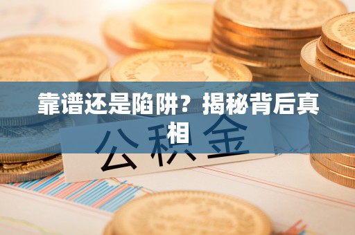 金塔靠谱还是陷阱？揭秘背后真相