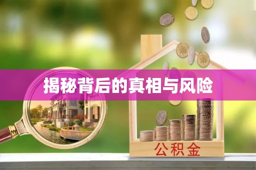 金塔揭秘背后的真相与风险