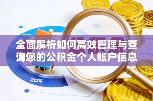金塔全面解析如何高效管理与查询您的公积金个人账户信息