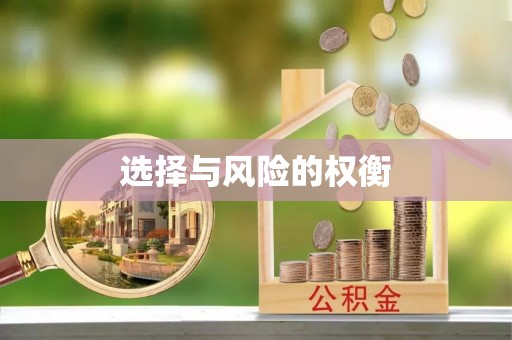 金塔选择与风险的权衡