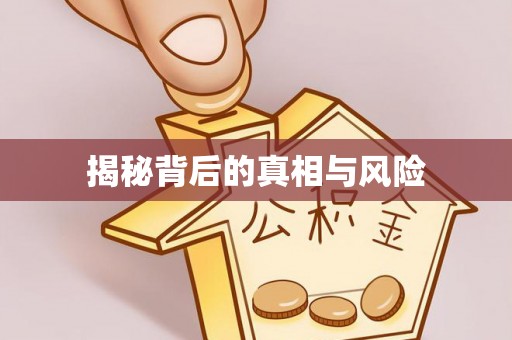 金塔揭秘背后的真相与风险