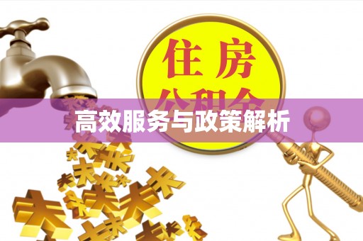 金塔高效服务与政策解析