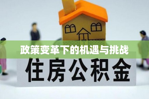 金塔政策变革下的机遇与挑战