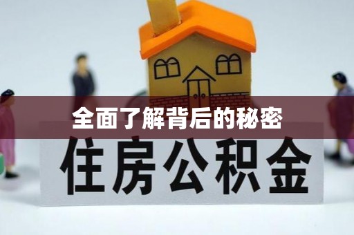 金塔全面了解背后的秘密