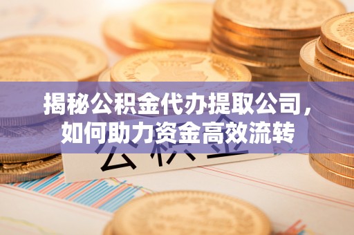金塔揭秘公积金代办提取公司，如何助力资金高效流转