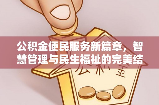 金塔公积金便民服务新篇章，智慧管理与民生福祉的完美结合