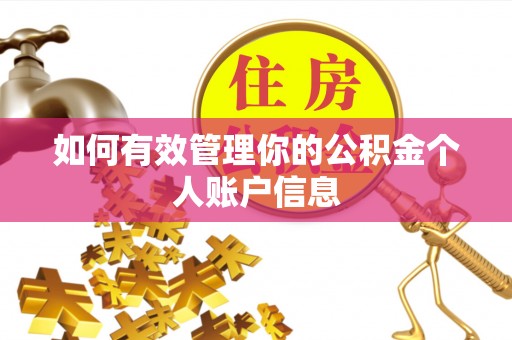 金塔如何有效管理你的公积金个人账户信息