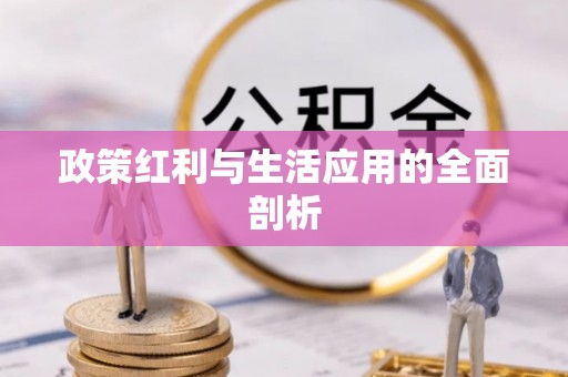 金塔政策红利与生活应用的全面剖析