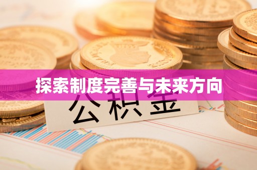 金塔探索制度完善与未来方向