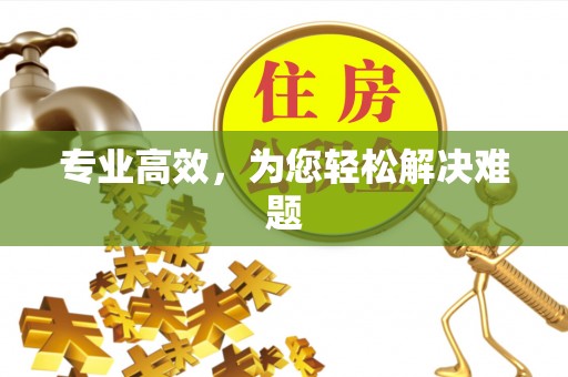 金塔专业高效，为您轻松解决难题