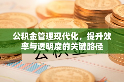 金塔公积金管理现代化，提升效率与透明度的关键路径