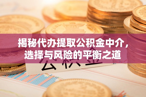 金塔揭秘代办提取公积金中介，选择与风险的平衡之道