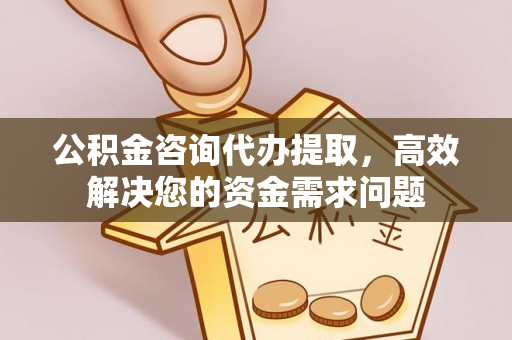 金塔公积金咨询代办提取，高效解决您的资金需求问题