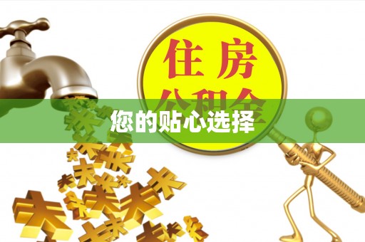 金塔您的贴心选择