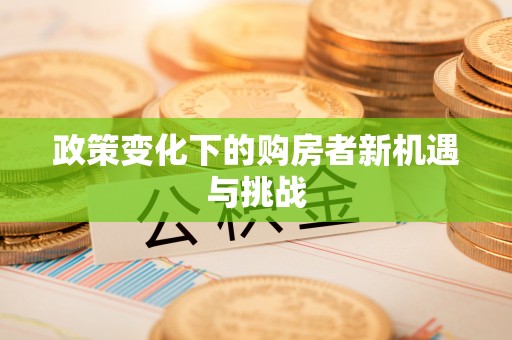 金塔政策变化下的购房者新机遇与挑战