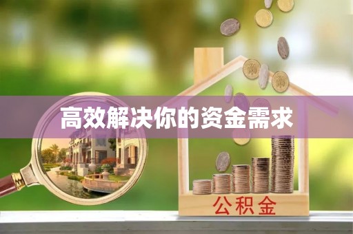 金塔高效解决你的资金需求