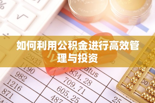 金塔如何利用公积金进行高效管理与投资