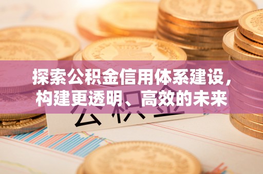 金塔探索公积金信用体系建设，构建更透明、高效的未来