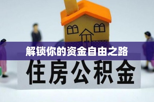 金塔解锁你的资金自由之路
