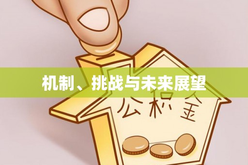 金塔机制、挑战与未来展望