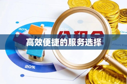 金塔高效便捷的服务选择